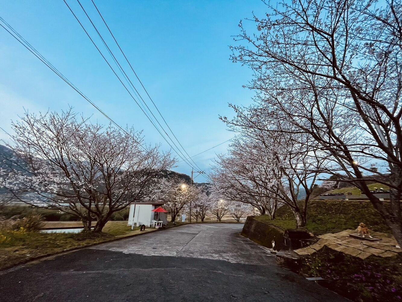 ブログ