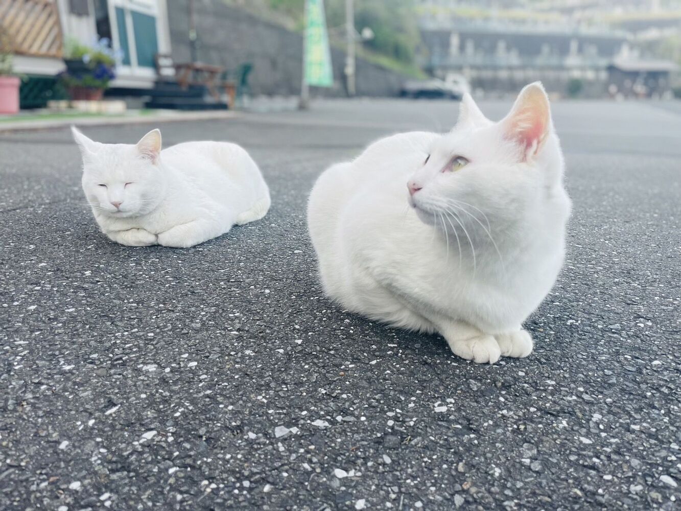 ブログ