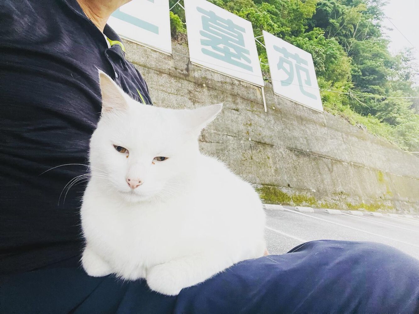 ブログ