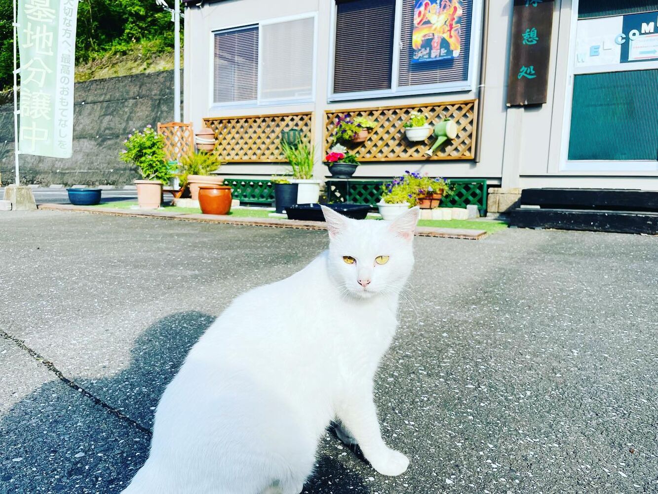 ブログ
