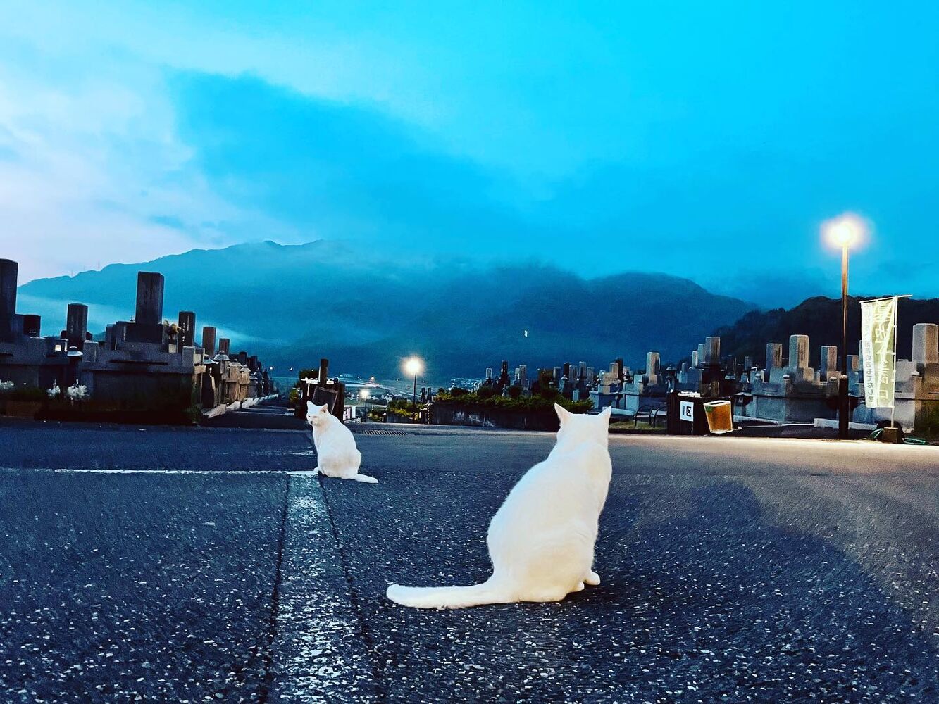 ブログ