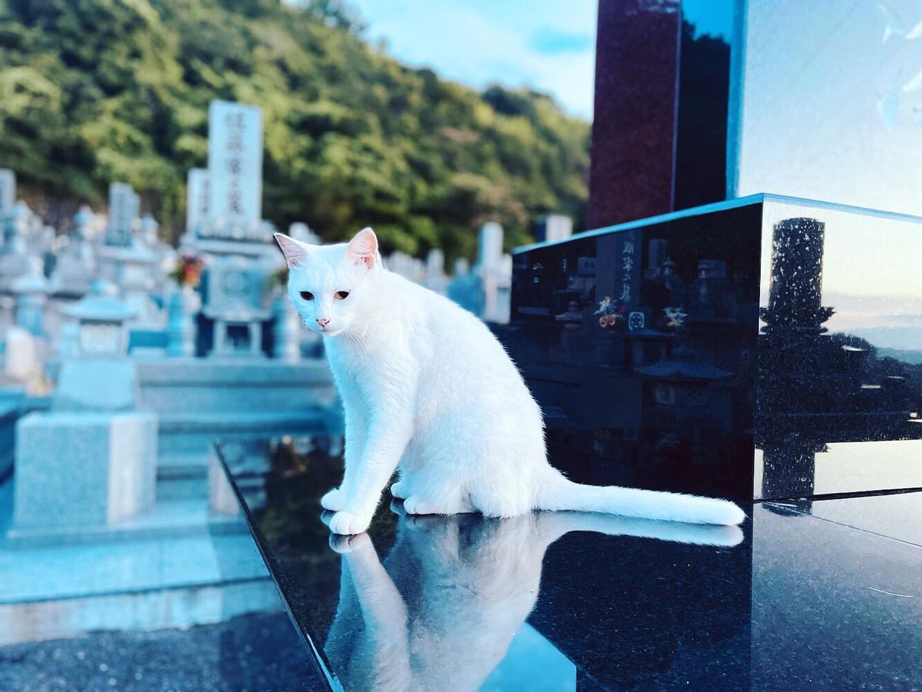 ブログ