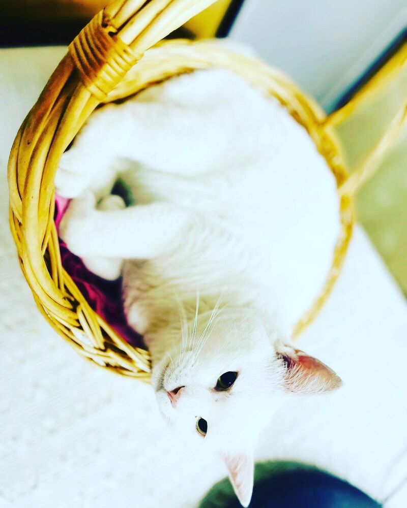 ブログ