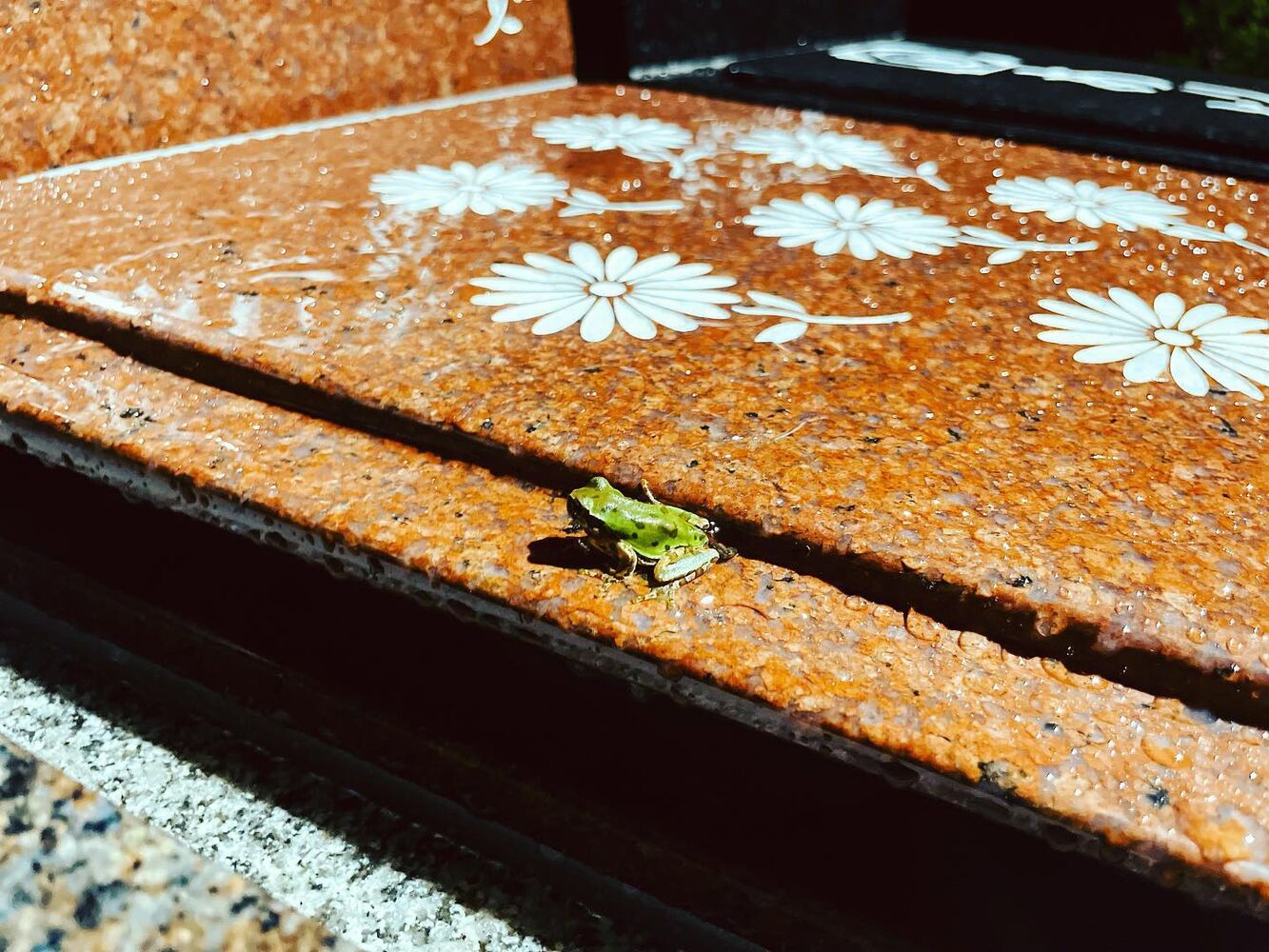 ブログ