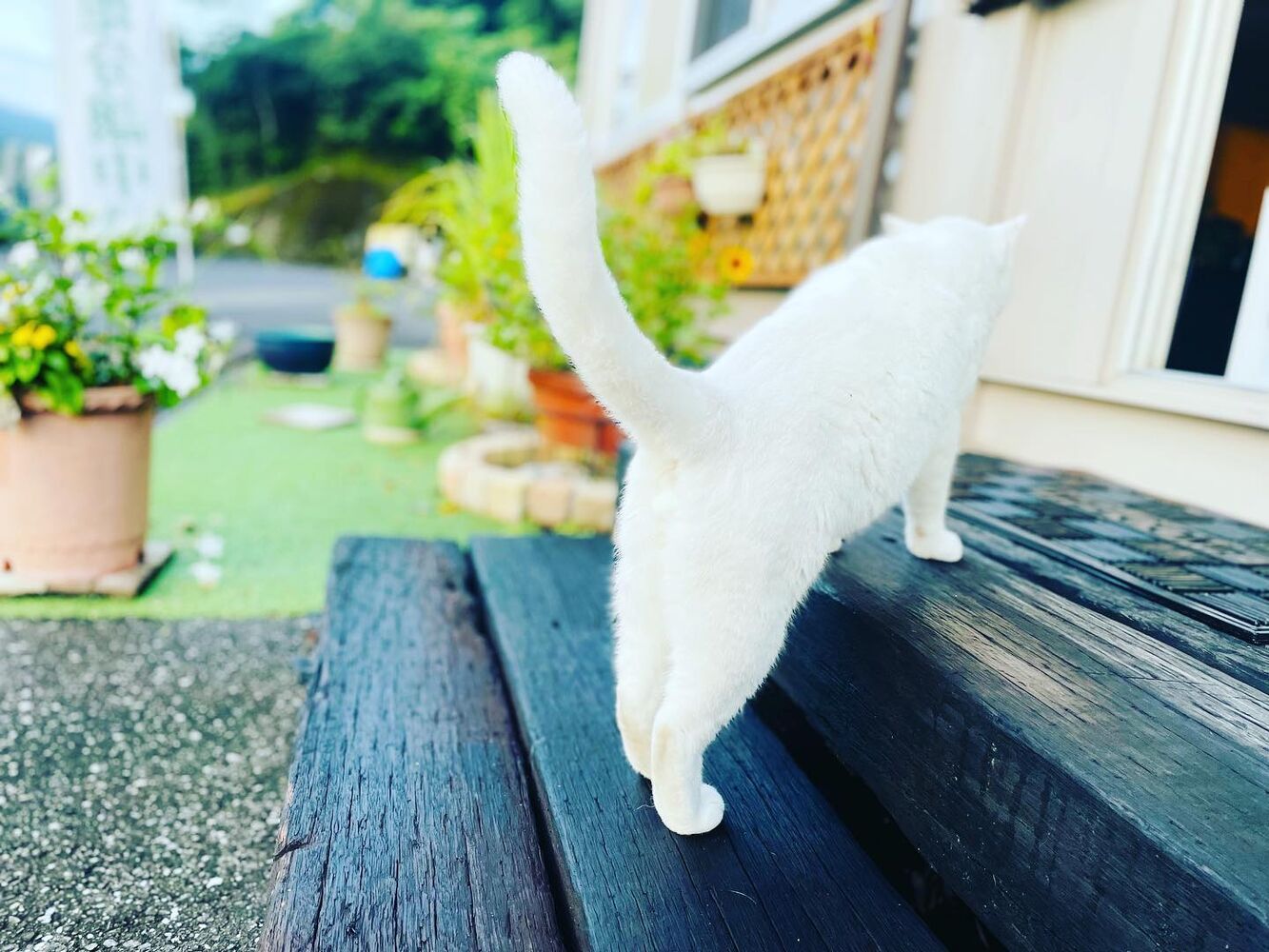 ブログ