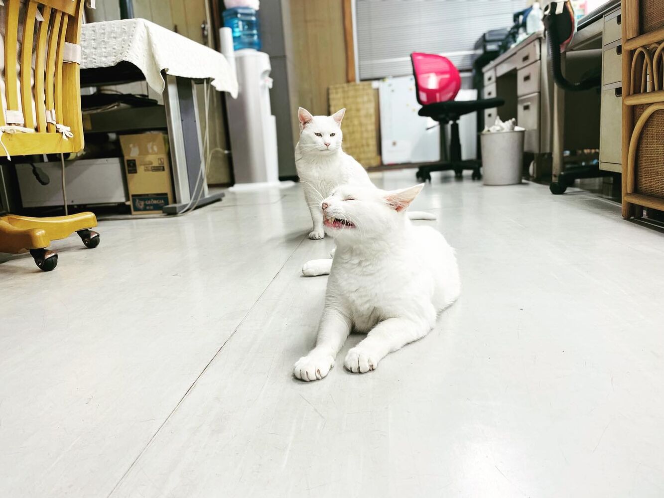ブログ