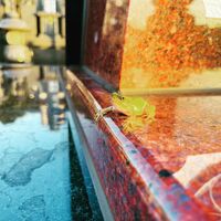 ブログ