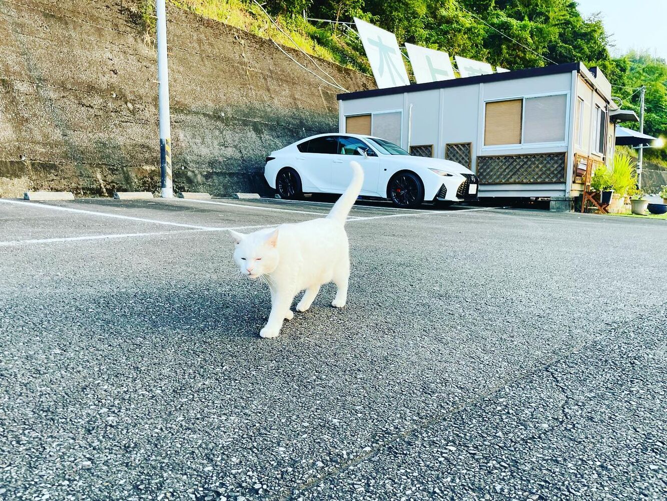 ブログ