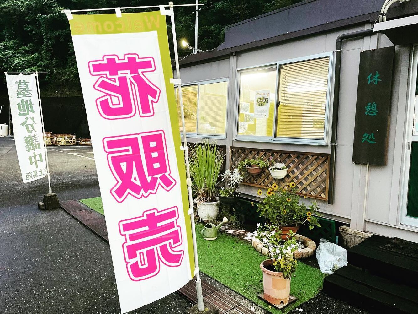 ブログ