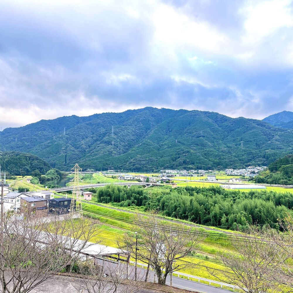 ブログ