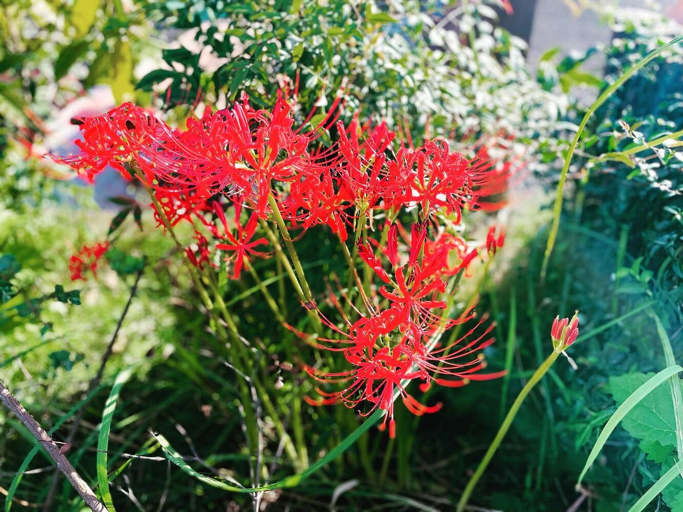 ブログ
