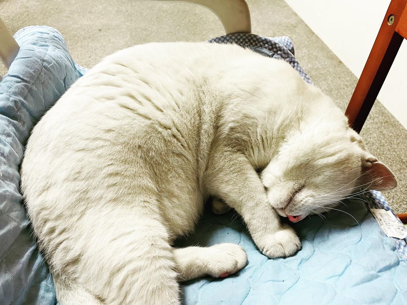 ブログ