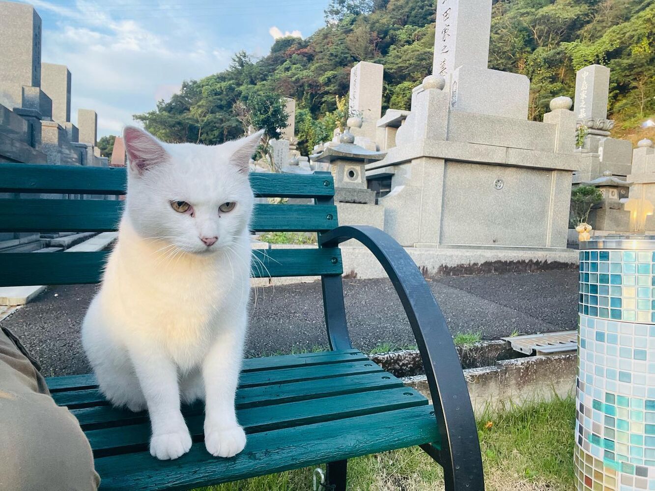 ブログ