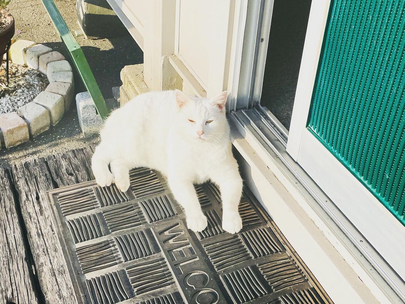 ブログ
