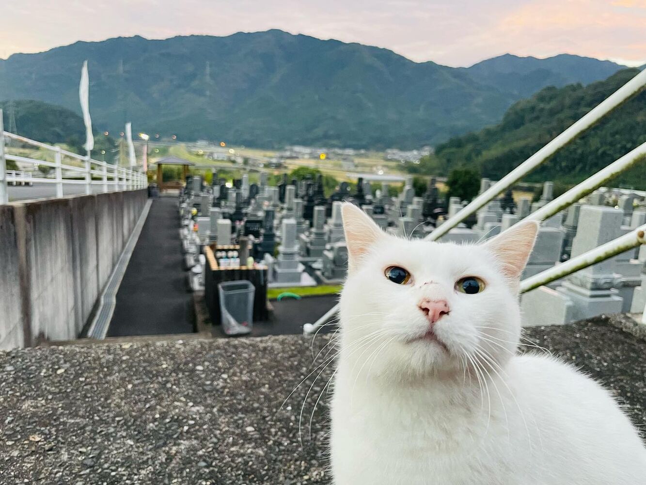 ブログ