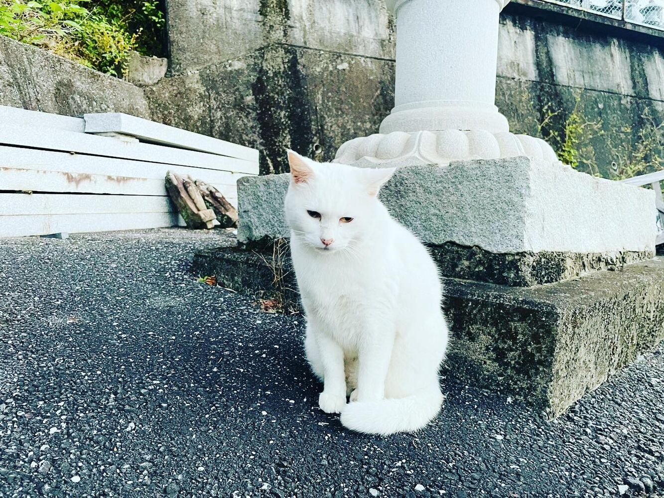 ブログ