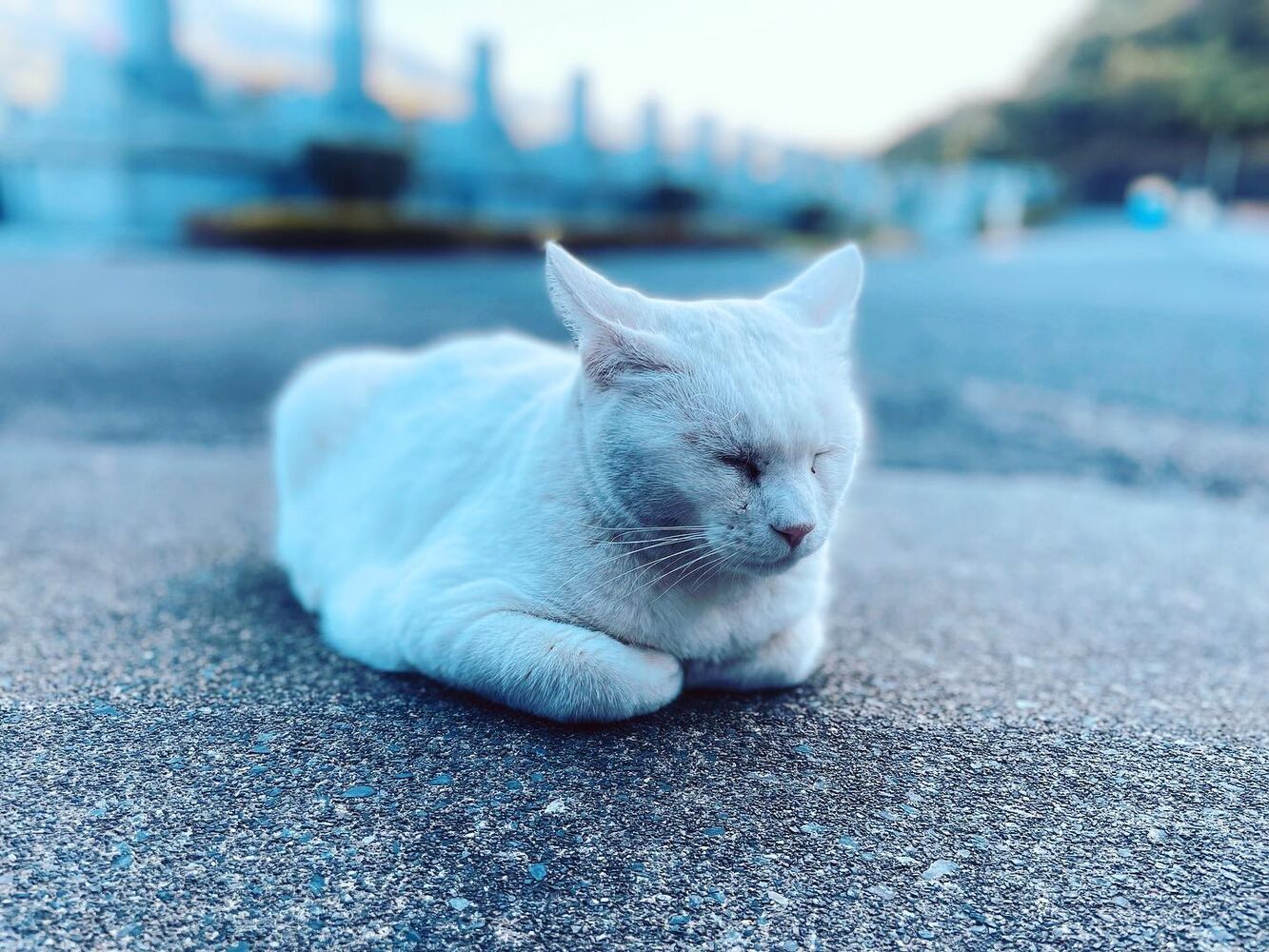 ブログ