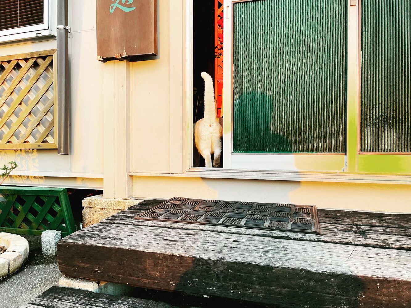 ブログ