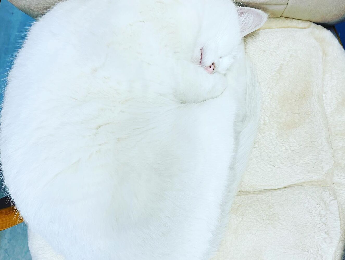 ブログ