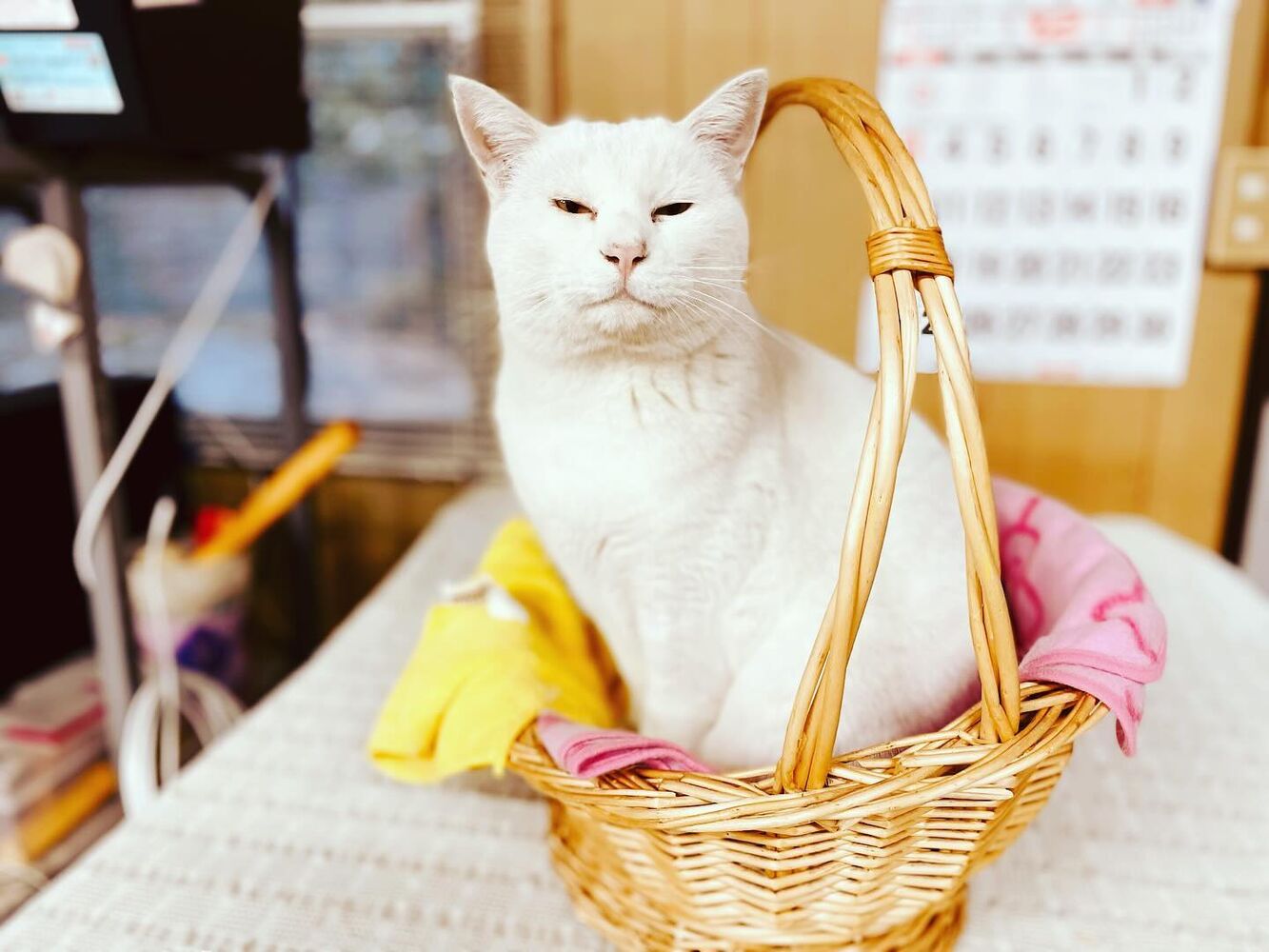 ブログ