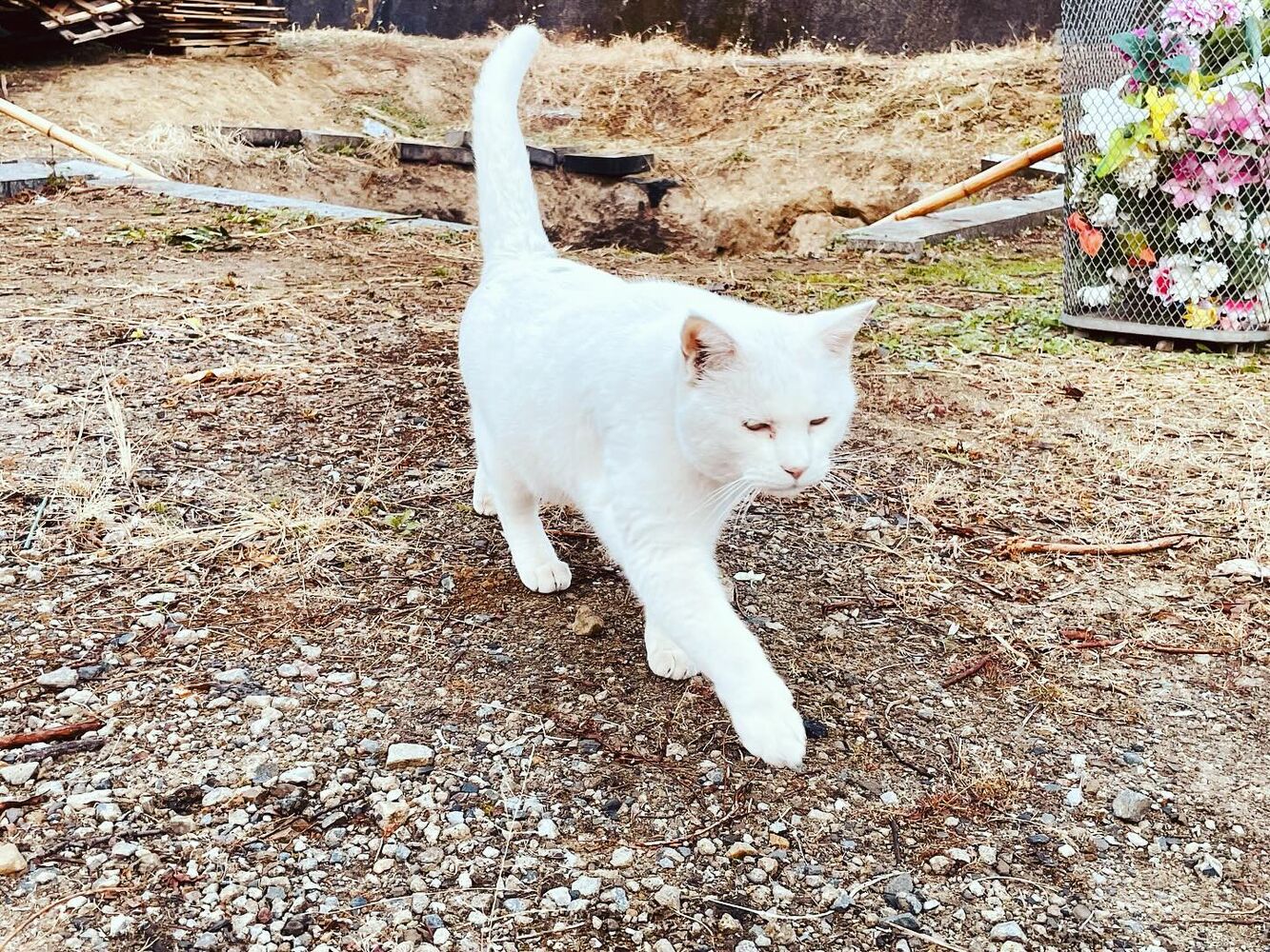 ブログ