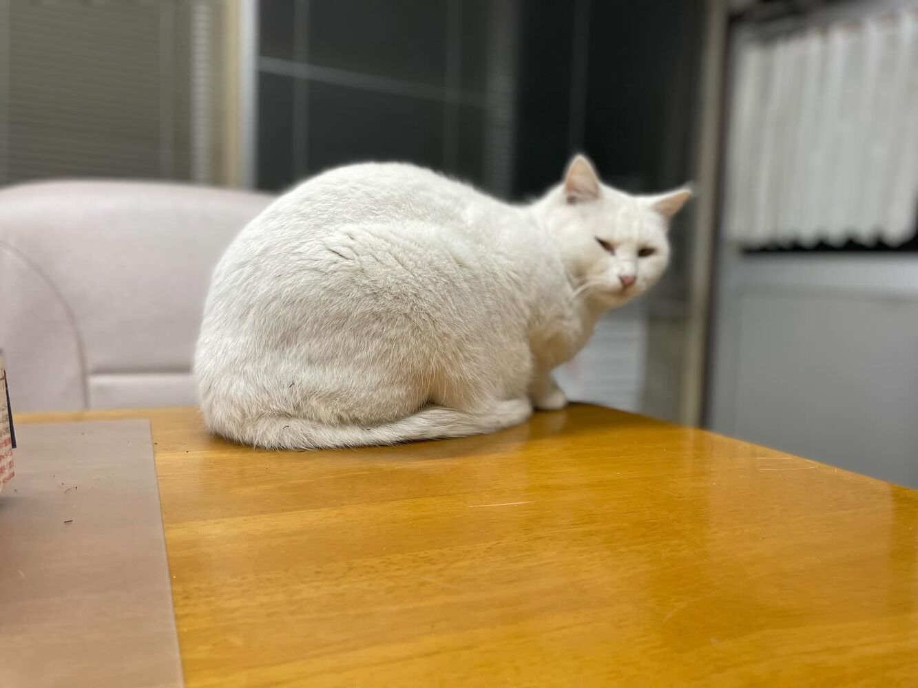 ブログ