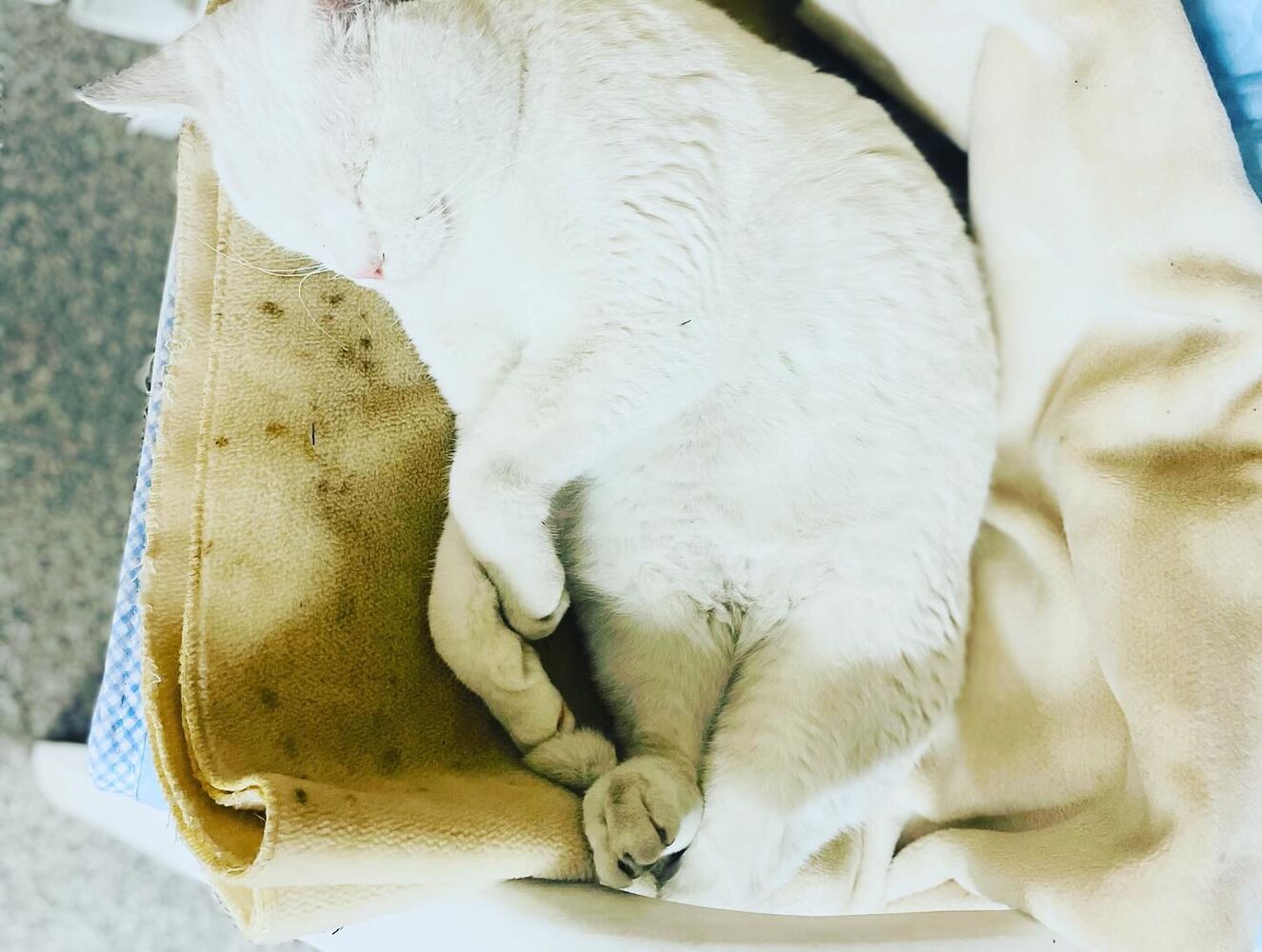 ブログ