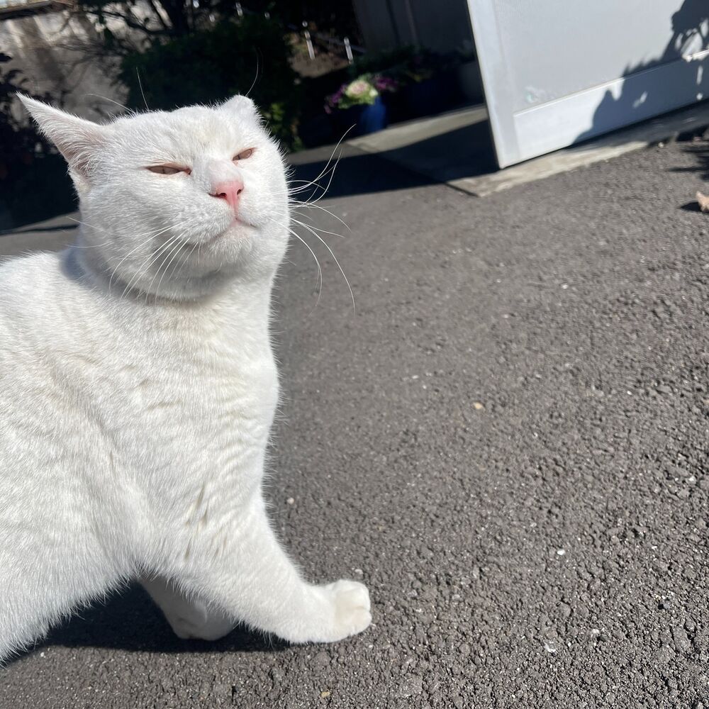 ブログ