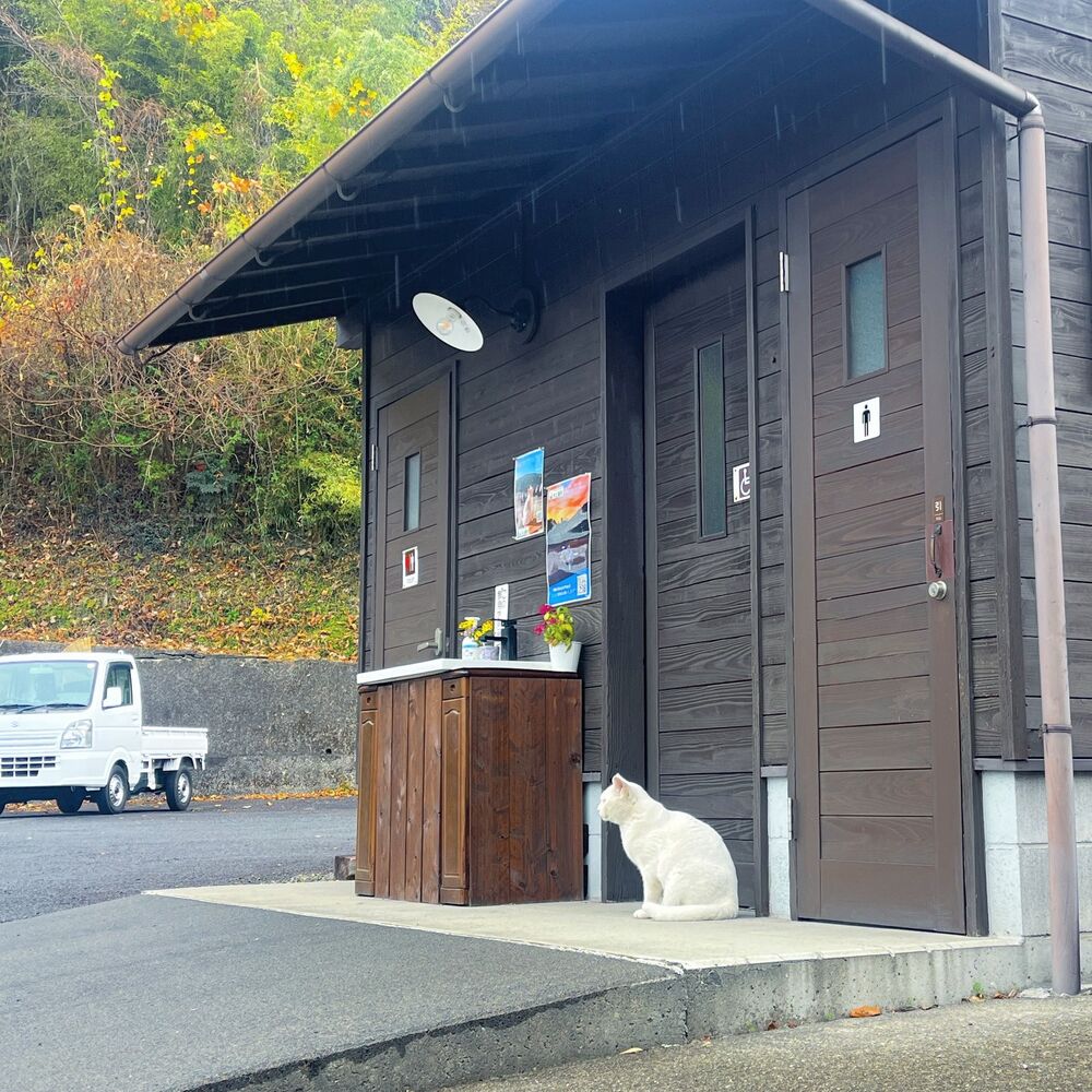 ブログ