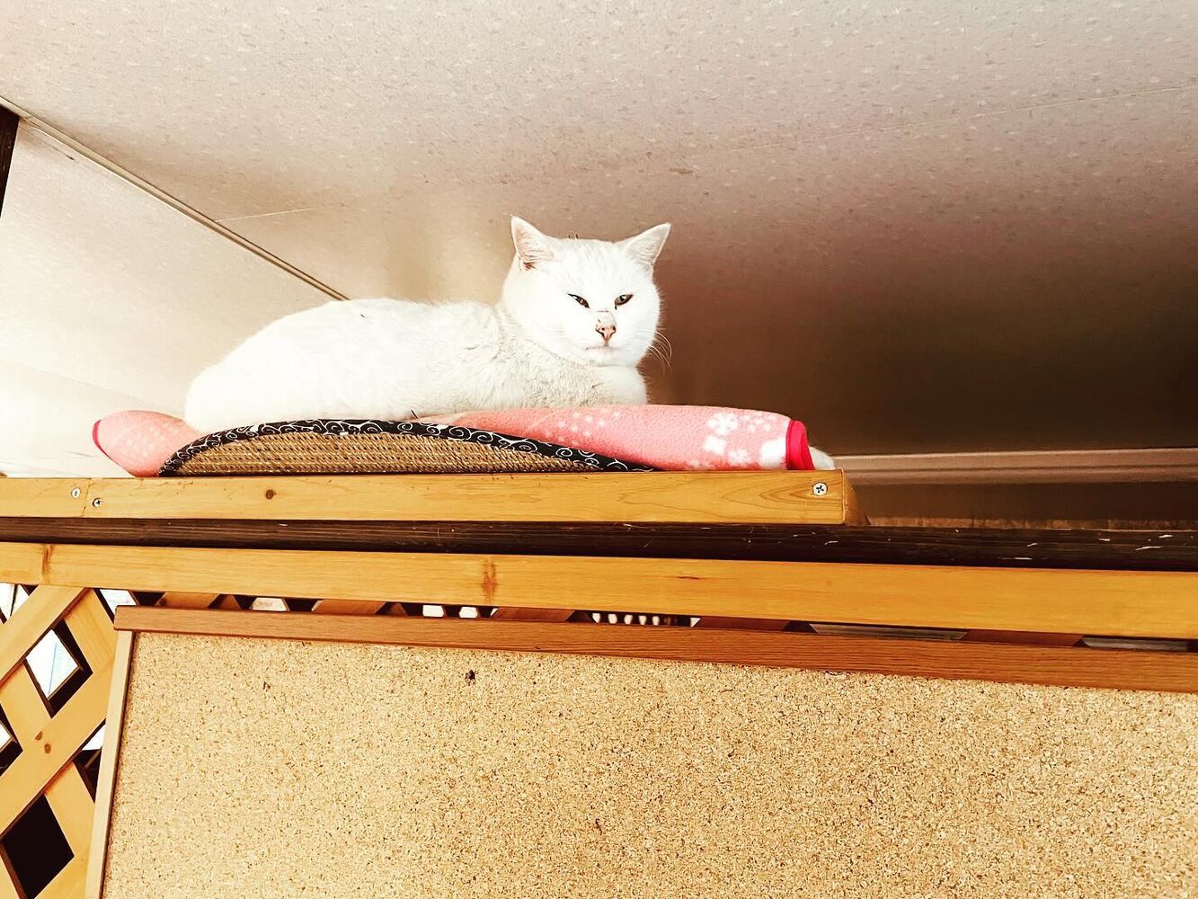 ブログ