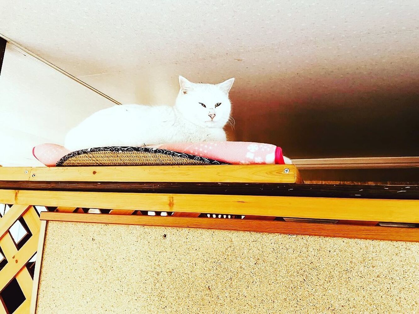 ブログ