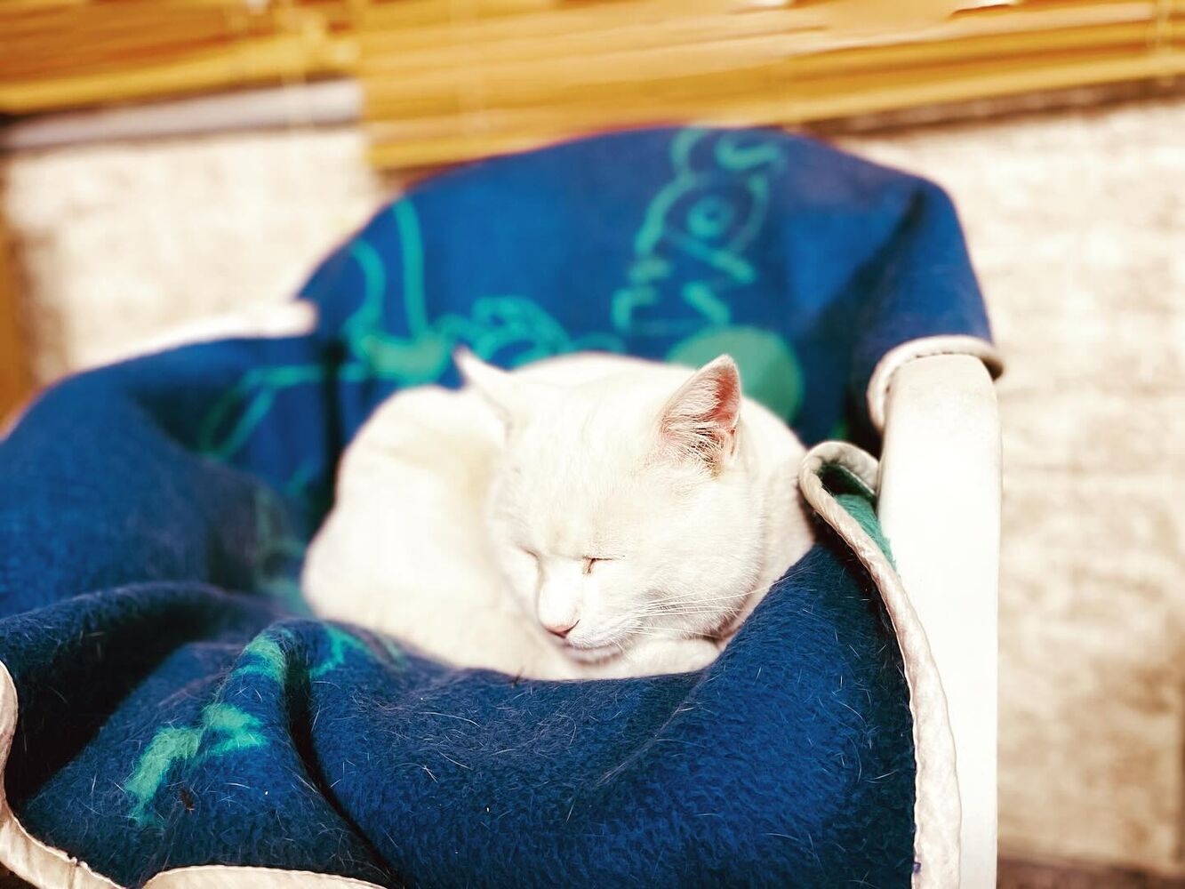 ブログ