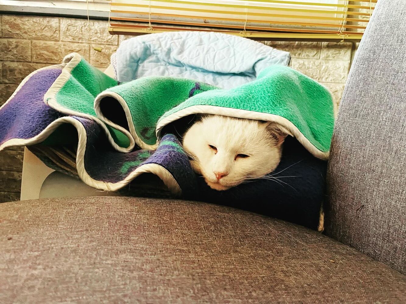 ブログ