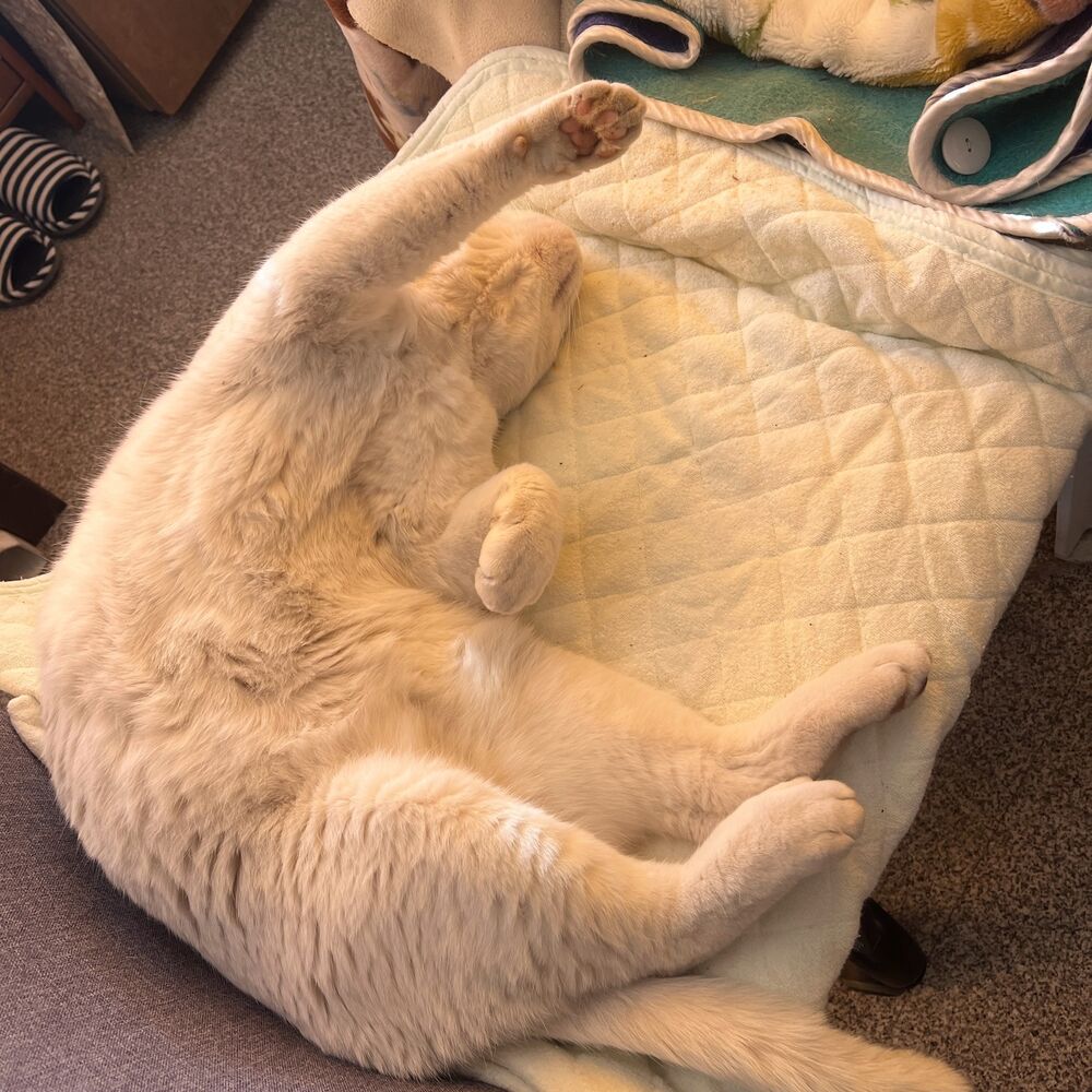 ブログ