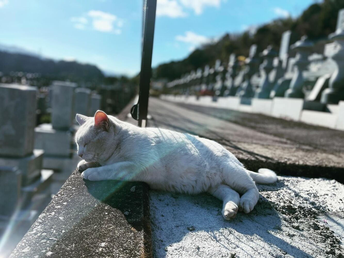 ブログ