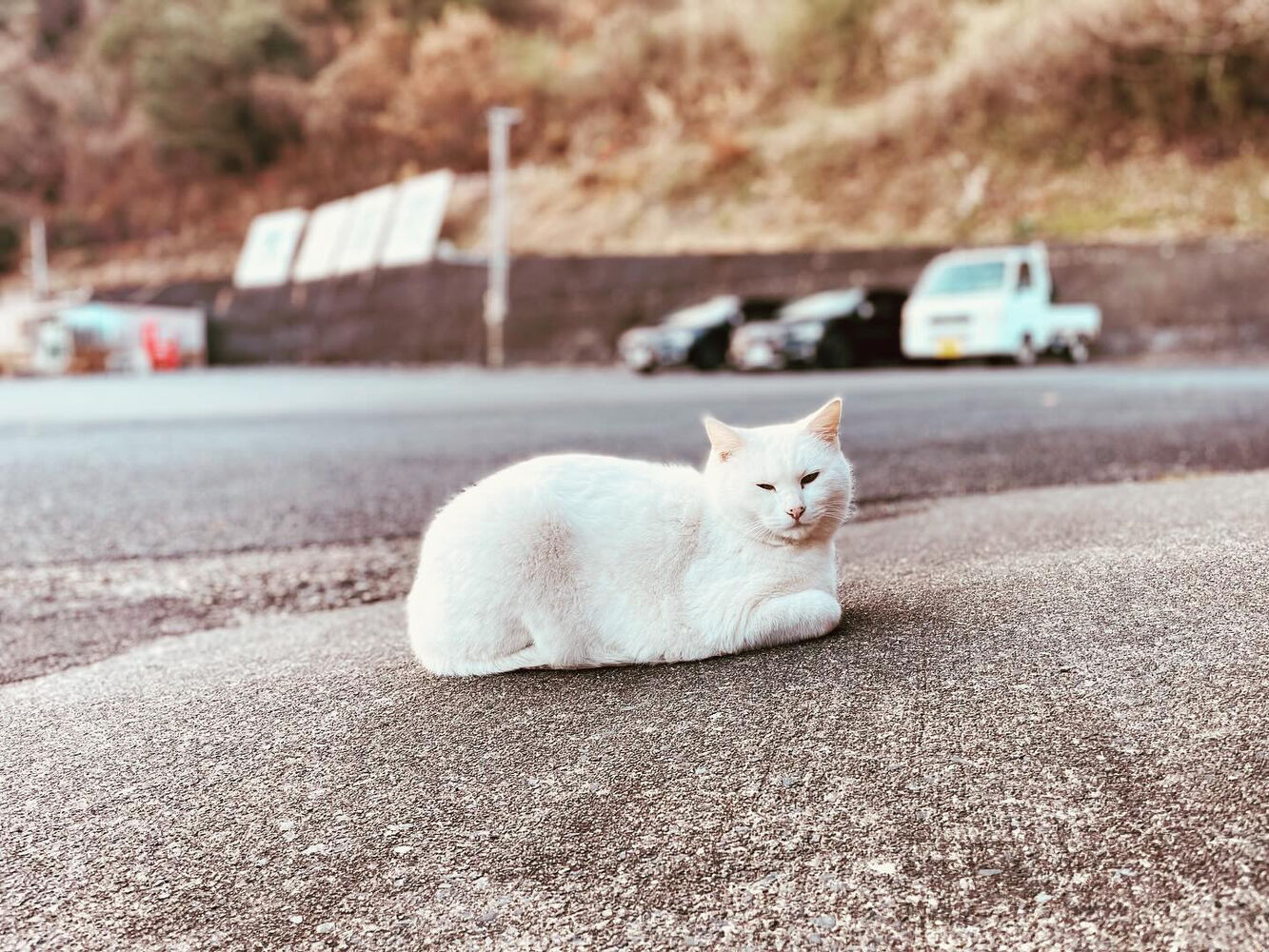 ブログ