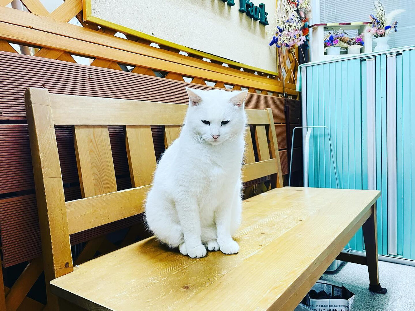 ブログ