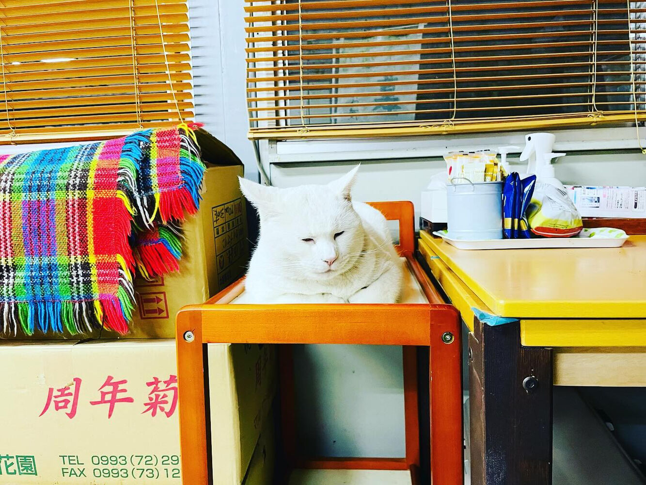 ブログ