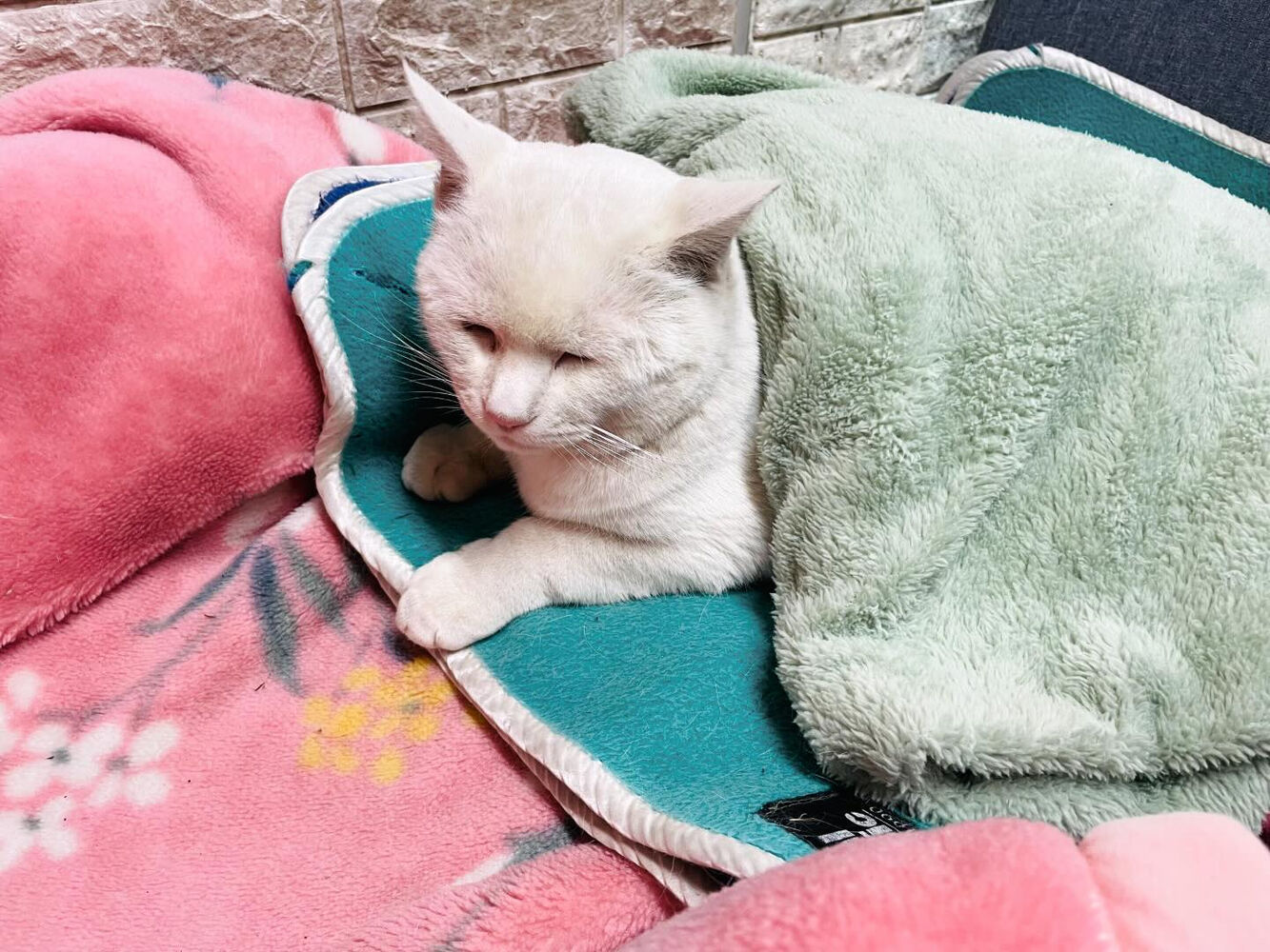 ブログ