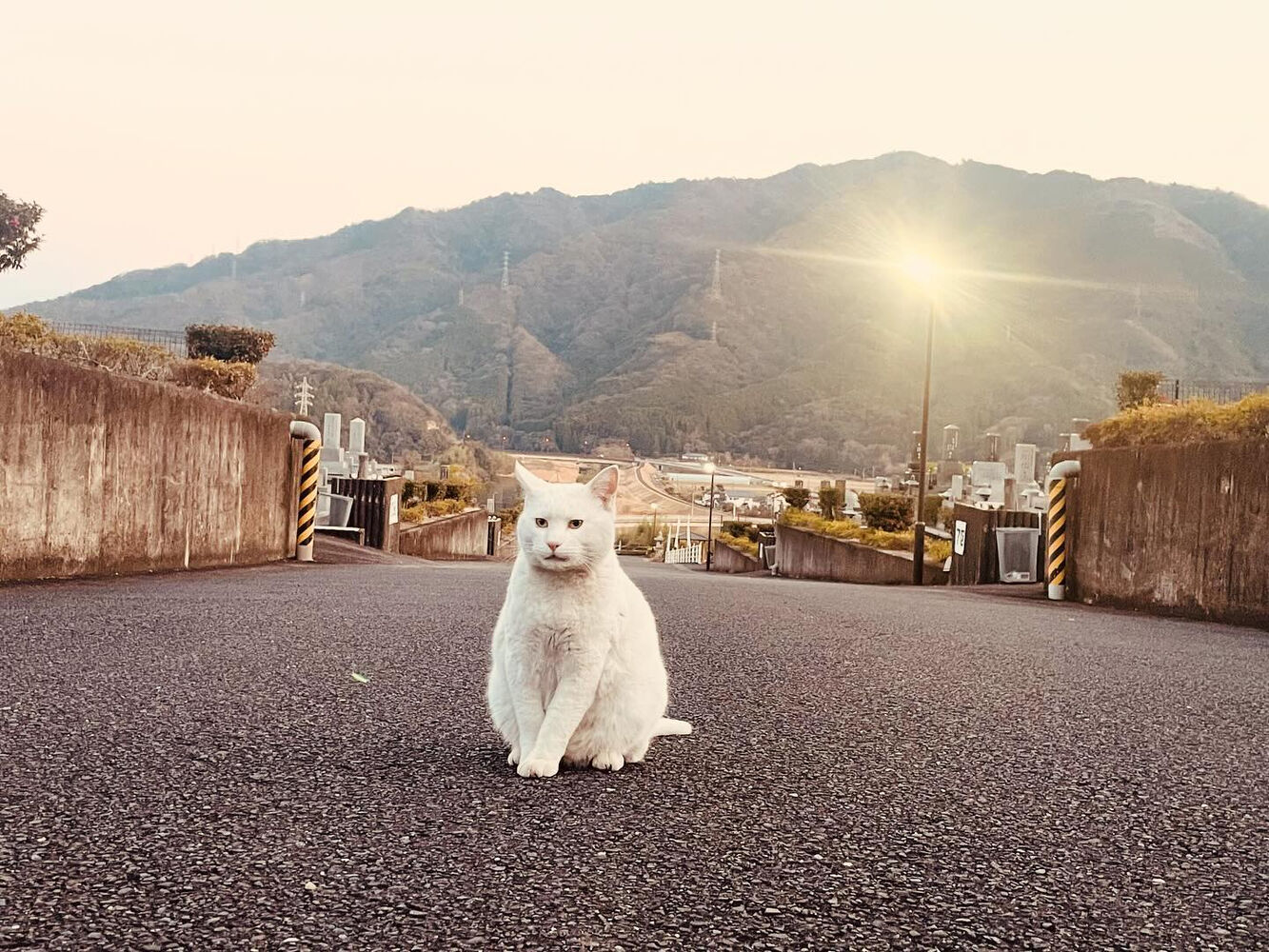 ブログ