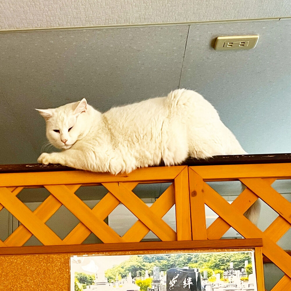 ブログ