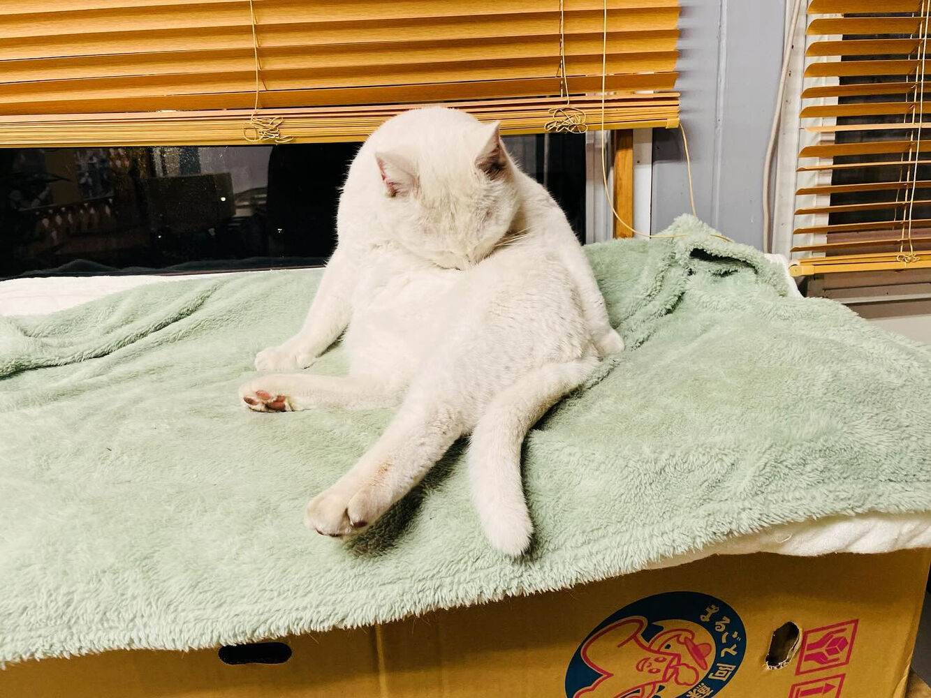 ブログ
