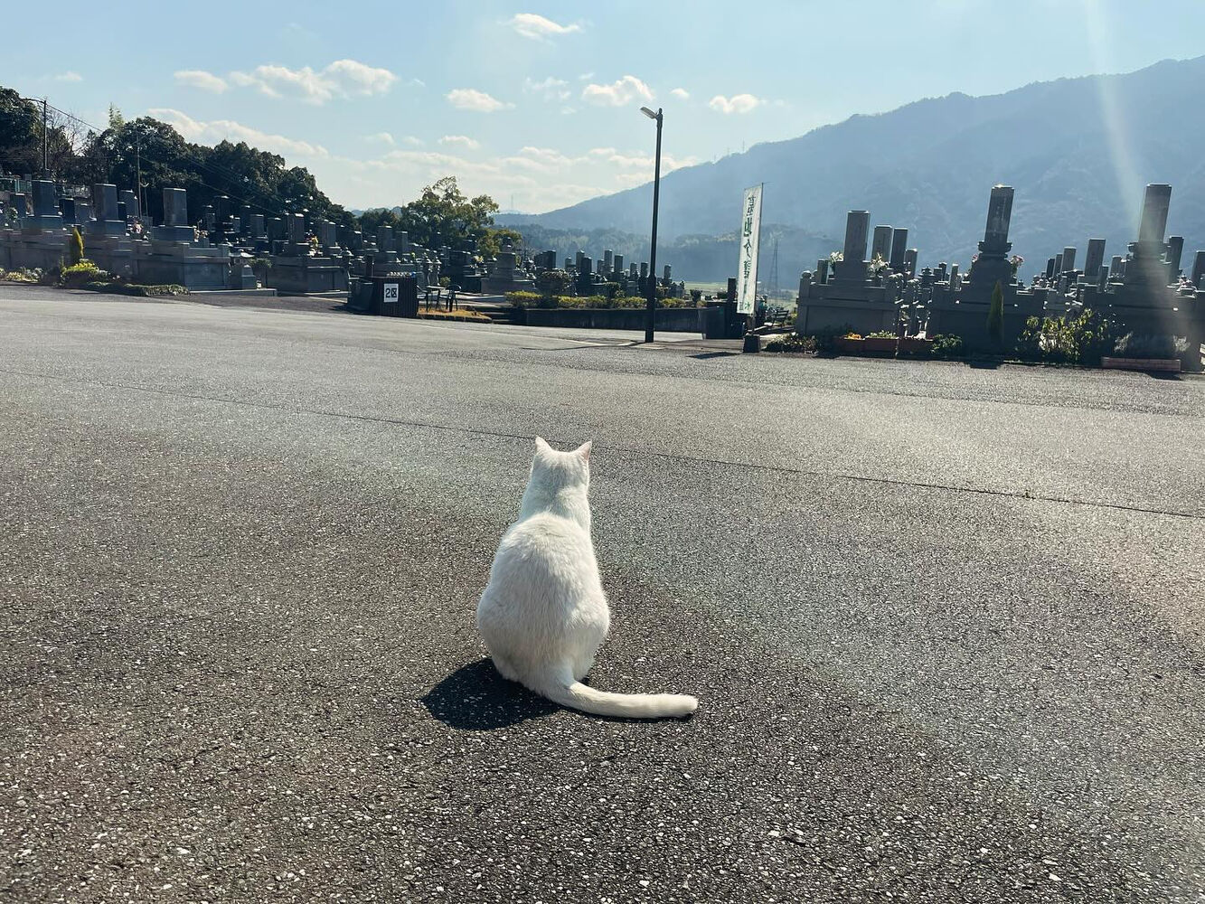 ブログ