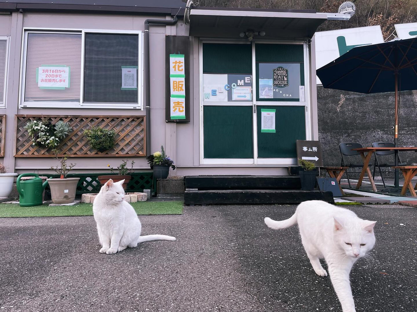 ブログ
