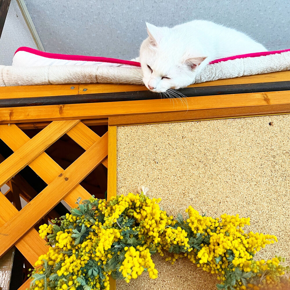 ブログ