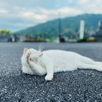 ブログ