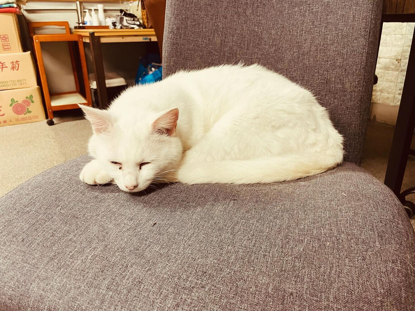 ブログ