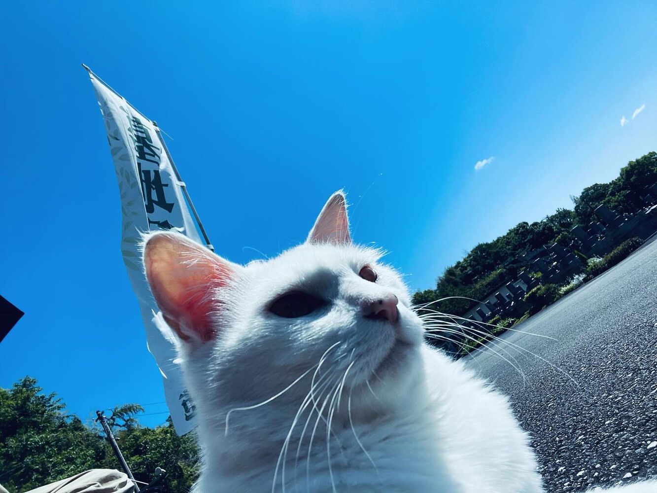 ブログ