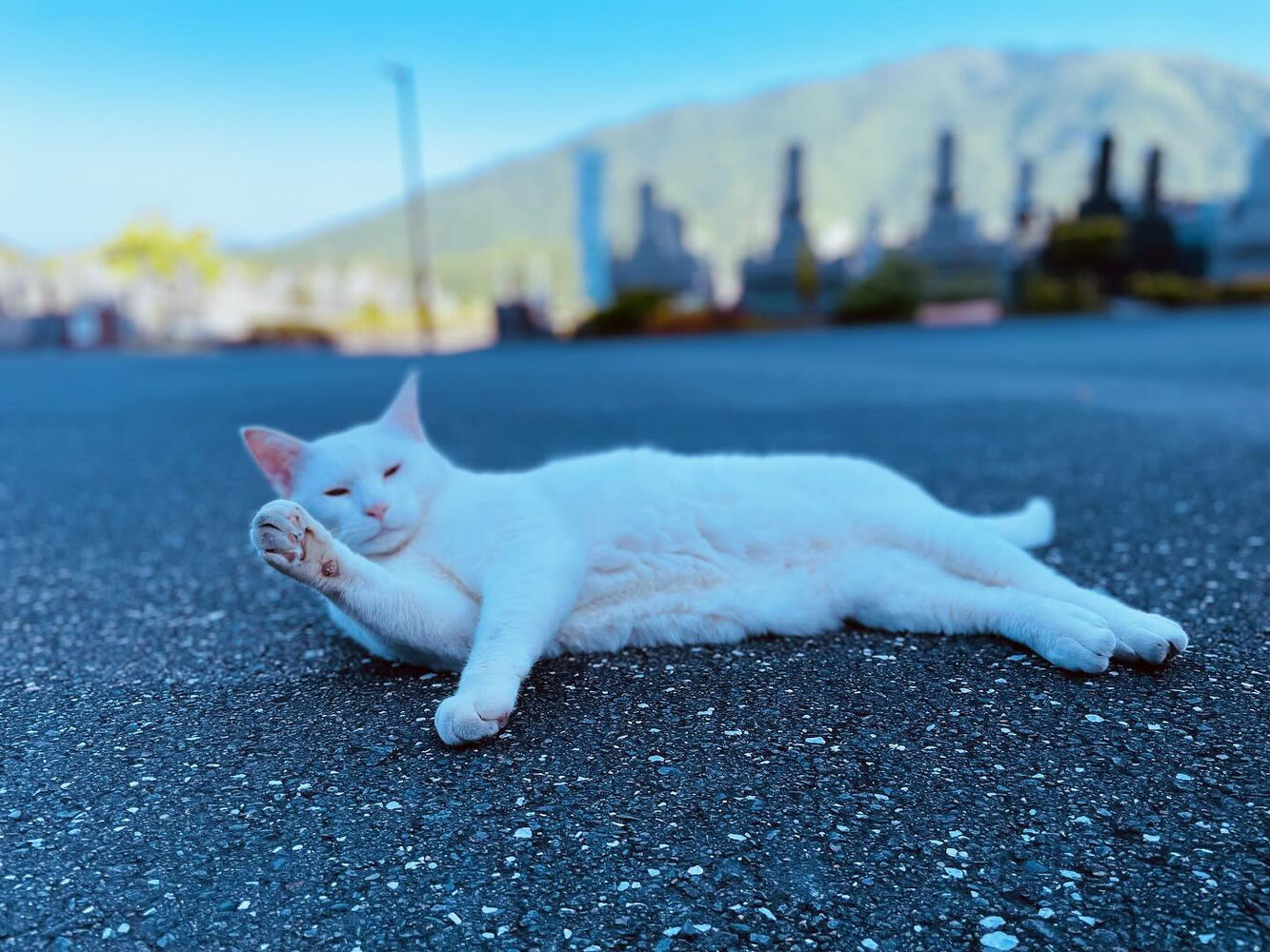 ブログ