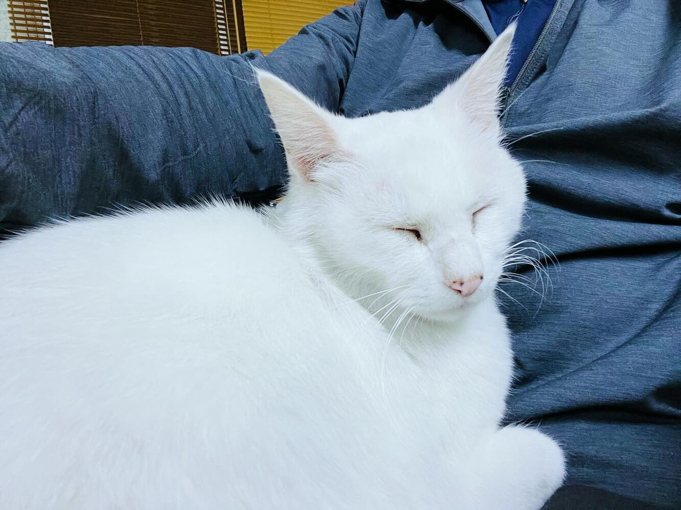 ブログ